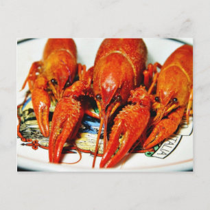 Carte Postale Crawfish Crawdads Éclair