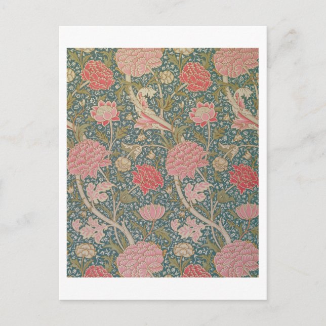 Carte Postale "Cray", 1884 (Devant)