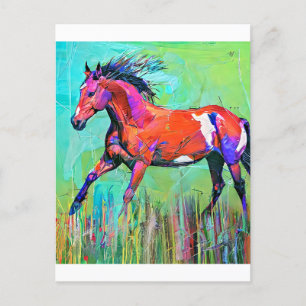 Carte Postale Crazy horse