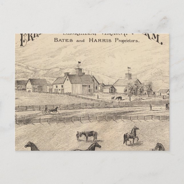 Carte Postale Cream Hill Ferme Stock à Shoreham dans le Vermont (Devant)