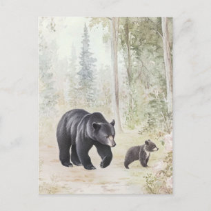 Carte Postale Créatures des bois