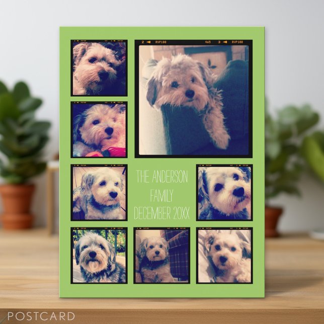 Carte Postale Créer un collage photo personnalisé avec 8 photos (Personalized Photo Postcard)