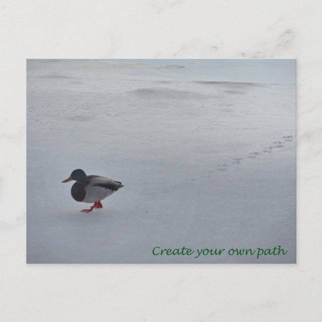 Carte Postale Créer votre propre chemin (Devant)