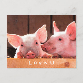 Carte Postale Créez Votre Propre Amour Photo Drôle Personnalisé