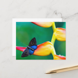 Carte Postale Créez votre propre Modèle photo personnalisé perso