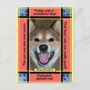 Carte Postale Créez Votre Propre Photo de Chien Chat Drôle Texte