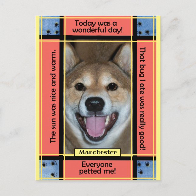 Carte Postale Créez votre propre photo drôle de chien chat avec  (Devant)