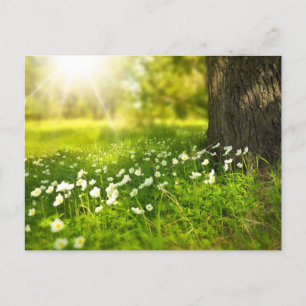 Carte Postale Créez votre propre photo personnalisée