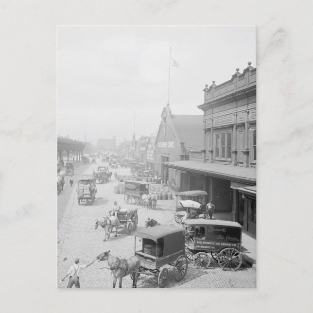 Carte Postale Crème de glace Bassett (Devant)