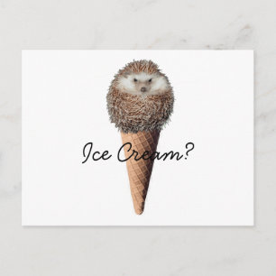 Carte Postale Crème de glace de hérisson