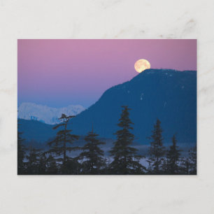 Carte Postale Crépuscule en Alaska