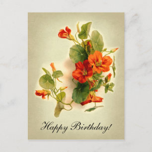 Carte Postale Cress indien orange