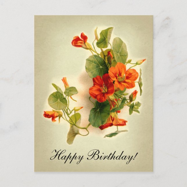 Carte Postale Cress indien orange (Devant)