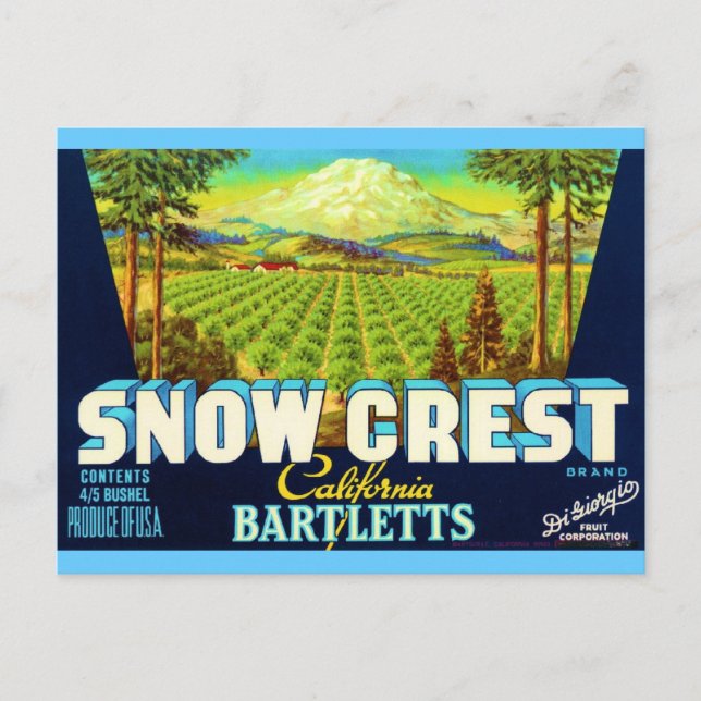 Carte Postale Crest (Devant)