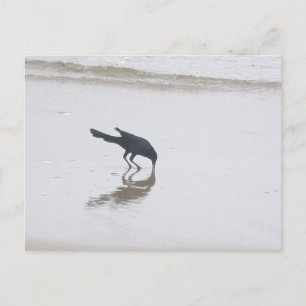 Carte Postale Creusage de grappins à quai pour une série de repa