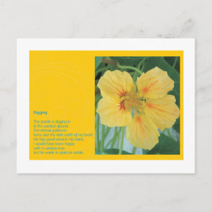 Carte Postale creuser