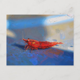 Carte Postale Crevette cerise rouge