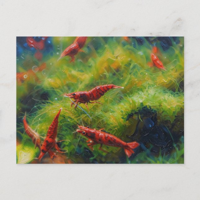 Carte Postale Crevettes cerises rouges avec algues filamenteuses (Devant)