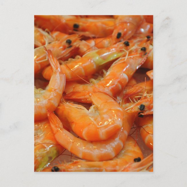 Carte Postale Crevettes crevettes (Devant)