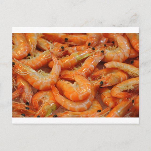 Carte Postale Crevettes roses de crevette (Devant)