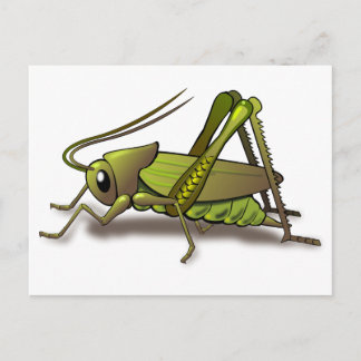 Carte Postale Cricket vert