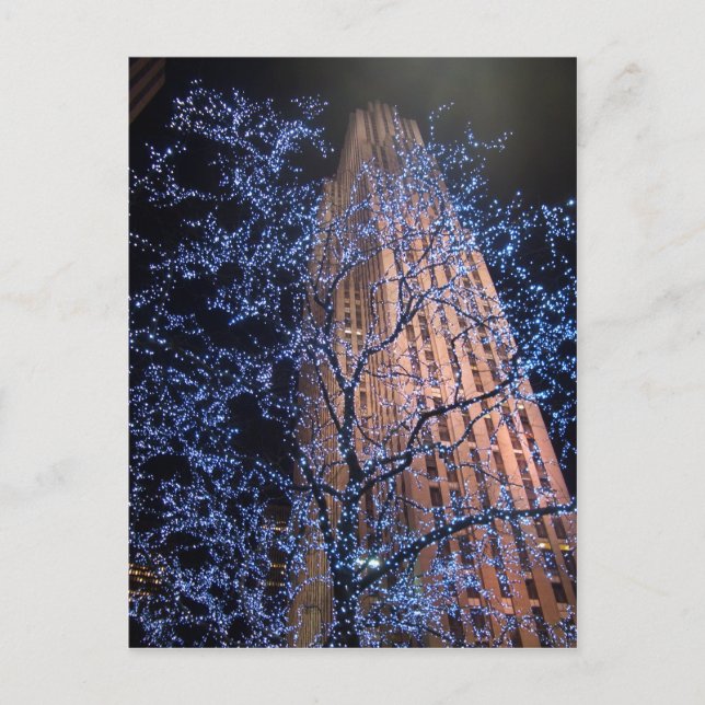 Carte Postale CricketDiane (Devant)