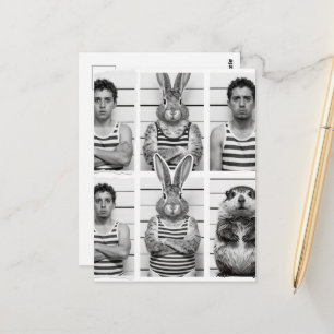 Carte Postale Criminels Humains et Faune Marmotte et Lapin