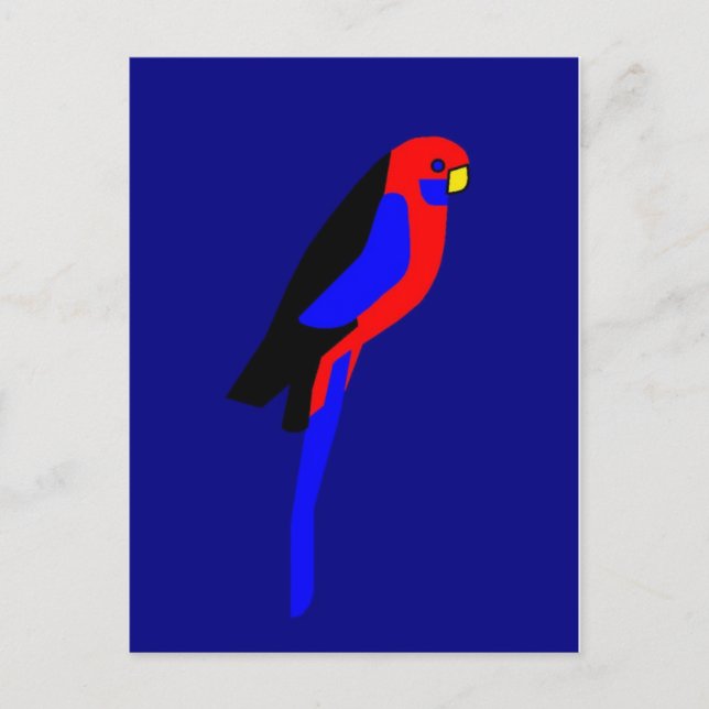 Carte Postale Crimson Rosala - Perrot australien (Devant)