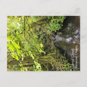 Carte Postale Crique de Corral