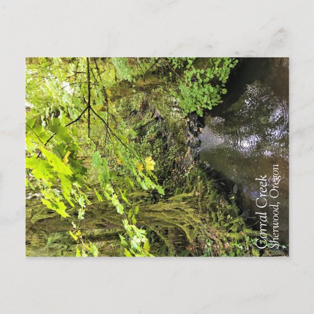 Carte Postale Crique de Corral (Devant)