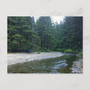 Carte Postale Crique de Cummins au parc national Neptune, OU