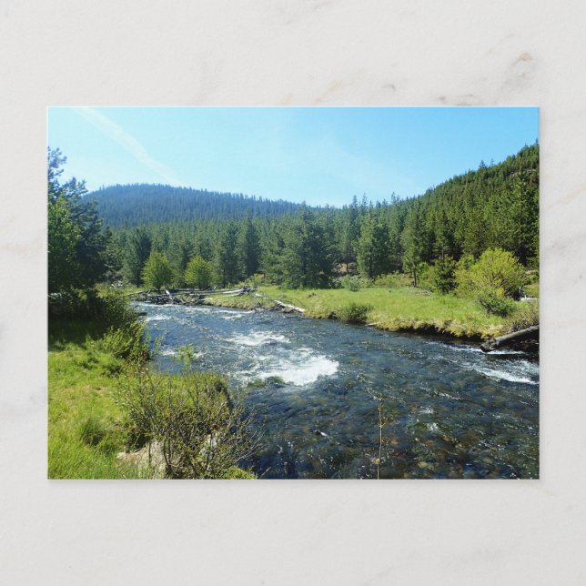 Carte Postale Crique de Tumalo (Devant)