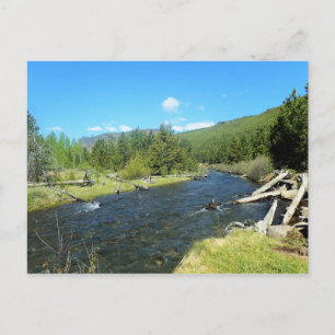 Carte Postale Crique de Tumalo