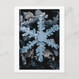 Carte Postale Cristal de neige 2