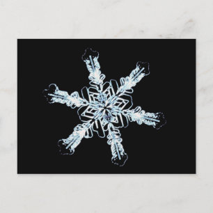 Carte Postale cristal de neige stellaire