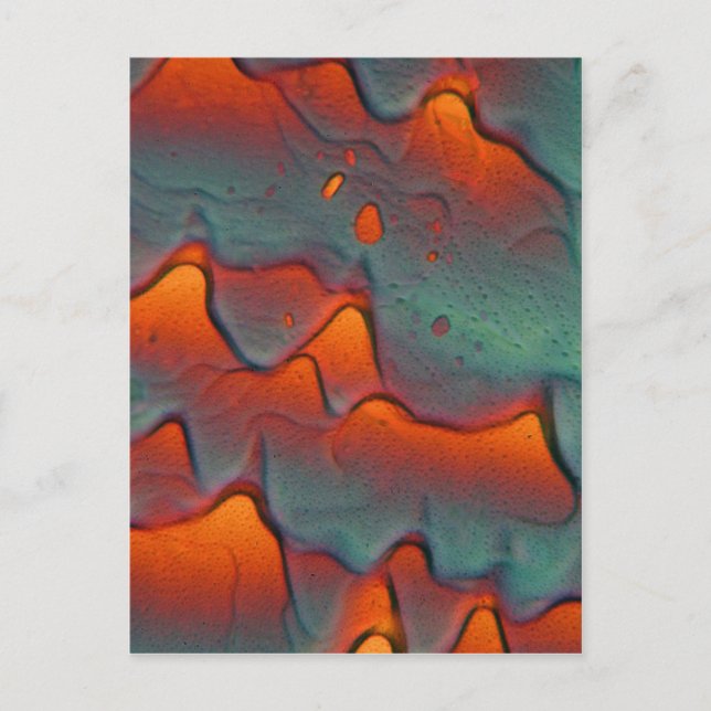 Carte Postale cristaux d'acétate de zinc sous microscope (Devant)