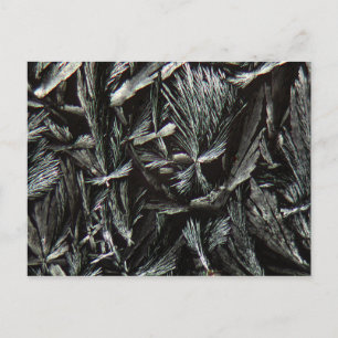 Carte Postale cristaux de Nystatine sous microscope