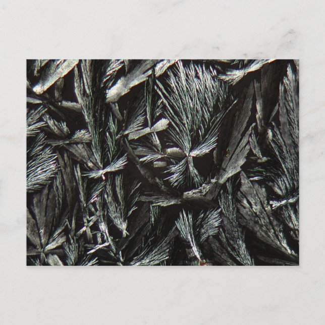 Carte Postale cristaux de Nystatine sous microscope (Devant)