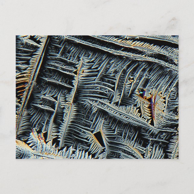 Carte Postale cristaux dendritiques sous microscope (Devant)