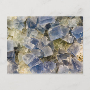 Carte Postale Cristaux fluorites bleus dans la matrice