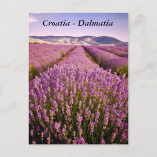 Carte Postale Croatie - Dalmatie