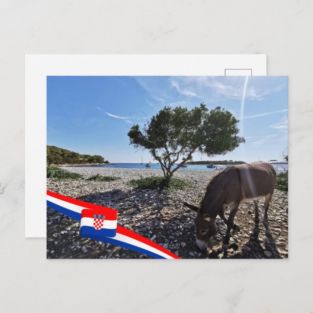 Carte Postale Croatie | Hrvatska | Mer Adriatique | Donkey (Devant / Derrière)