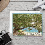 Carte Postale Croatie Olive Tree Photo<br><div class="desc">Croatie Méditerranée Olive Tree Photo Carte postale</div>