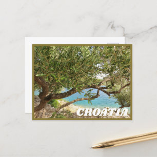 Carte Postale Croatie Olive Tree Photo