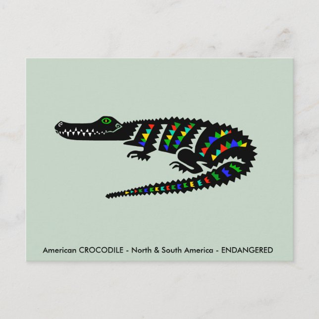 Carte Postale CROCODILE américain cool - Faune - Nature verte (Devant)