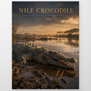 Carte Postale Crocodile du Nil Rivière africaine ANIMAUX