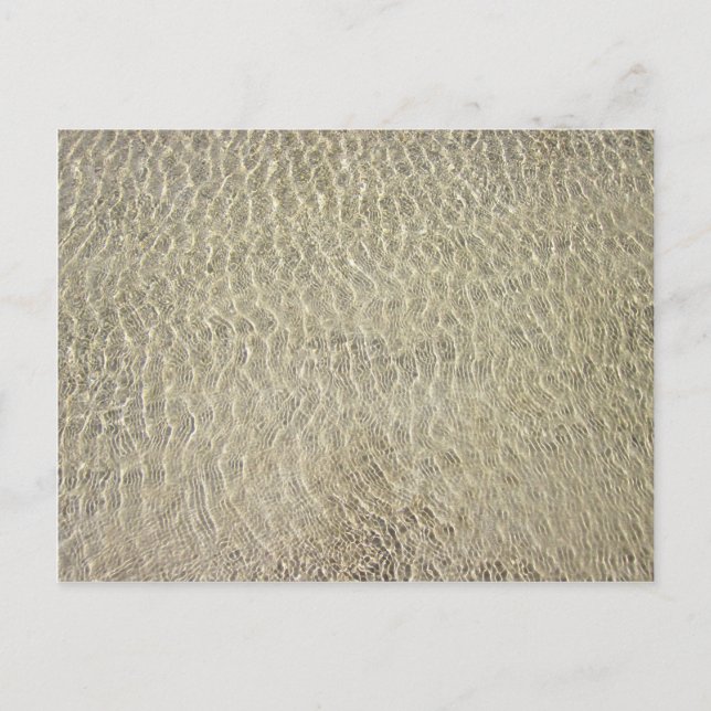 Carte Postale Crocodile Tan Motif en cuir (Devant)