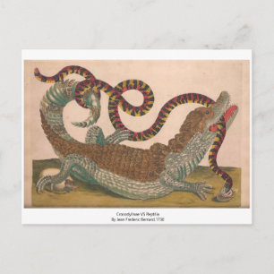 Carte postale Crocodile Vintage Zoological Sketch
