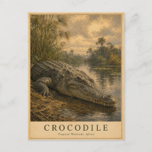 Carte Postale Crocodile Zones Humides Africains VINTAGE