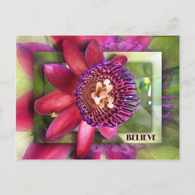 Carte Postale Croire (Devant)